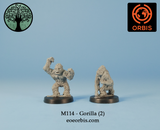 M114 - Gorilla (2)