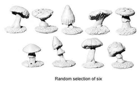 Killer Fungi (mix of 6)